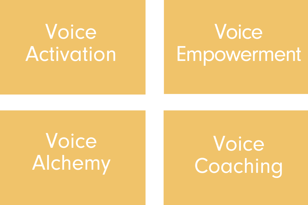 Transformative Voice Training ENG Graphic (1080 x 720 px) (1)